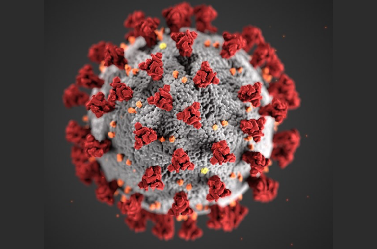Hadarin Yaduwar Hantavirus ga Jama’a Ya Yi Kasa – WHO